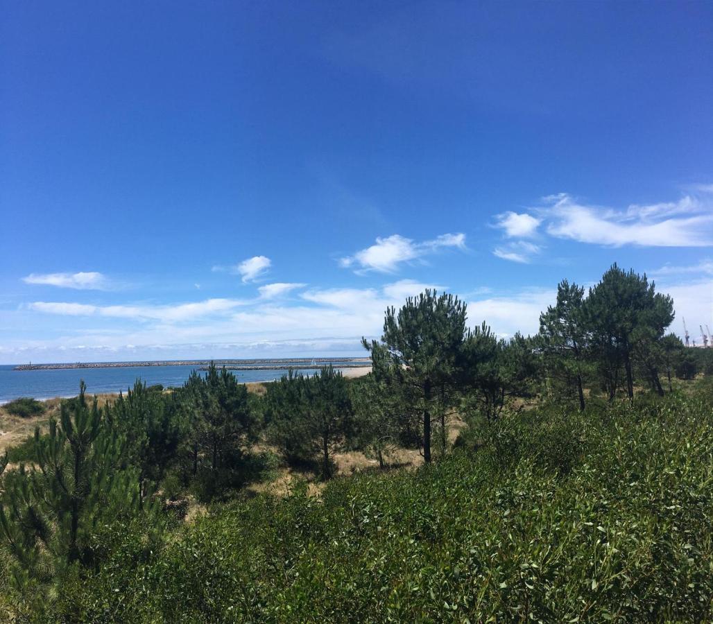 ויאנה דו קסטלו Cabedelo Beach Apartment מראה חיצוני תמונה